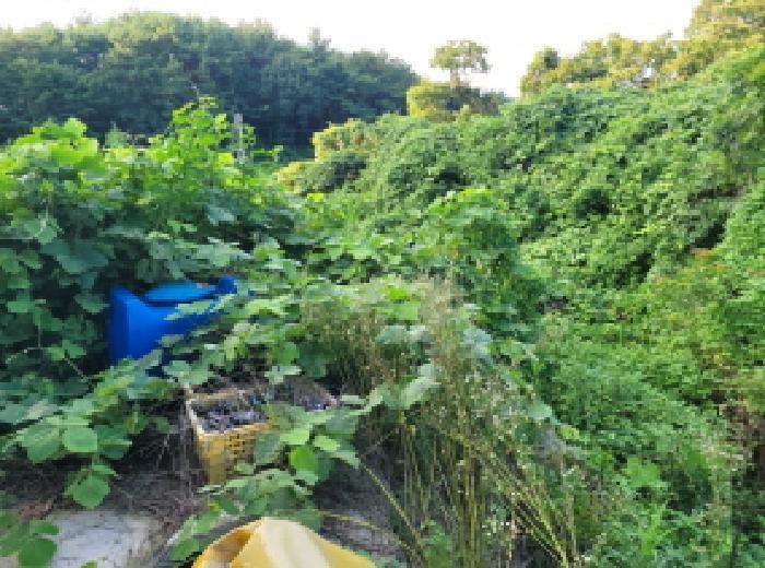 전라남도 보성군 벌교읍 마동리 1086 답 경매 사진 12
