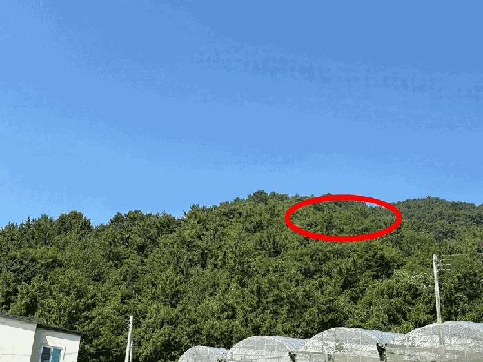 전라남도 보성군 벌교읍 마동리 1086 답 경매 사진 3