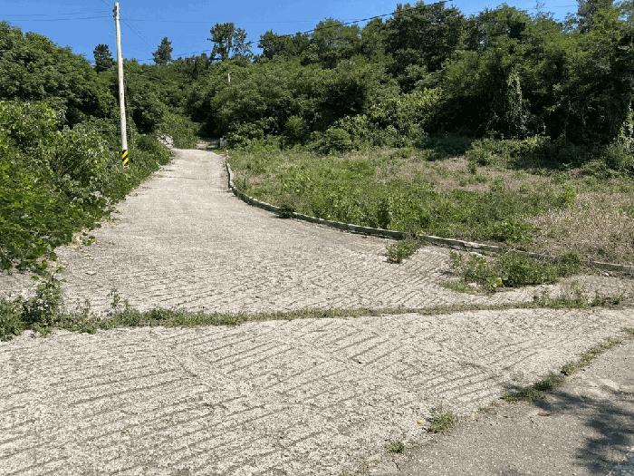 전라남도 보성군 벌교읍 마동리 1086 답 경매 사진 8