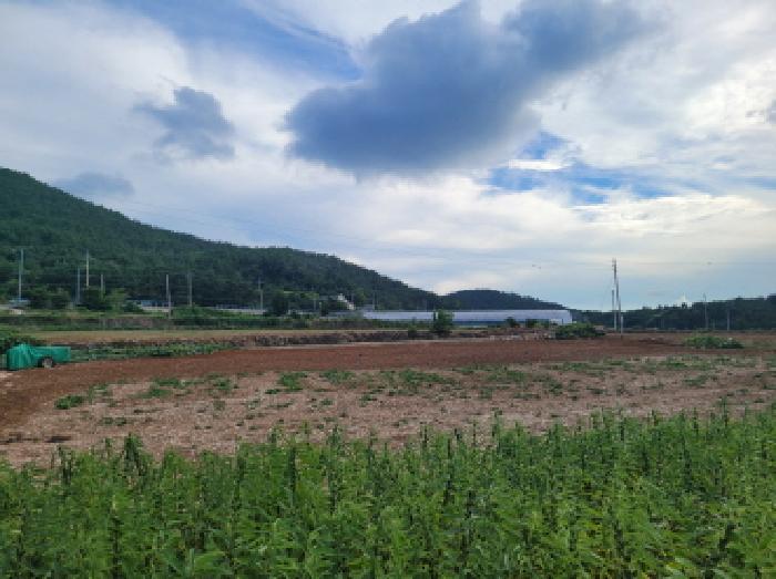 전라남도 여수시 돌산읍 금봉리 1278-1 전 경매 사진 3