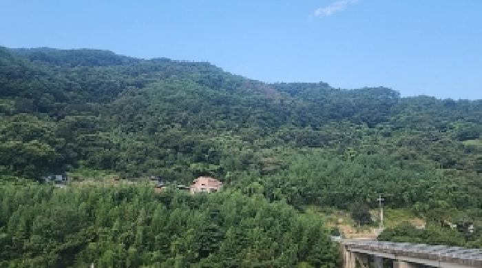 전라남도 구례군 토지면 외곡리 산257-4 임야 경매 사진 5