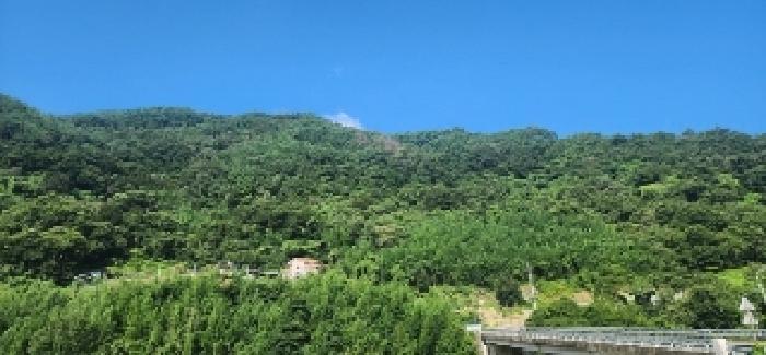 전라남도 구례군 토지면 외곡리 산257-4 임야 경매 사진 7