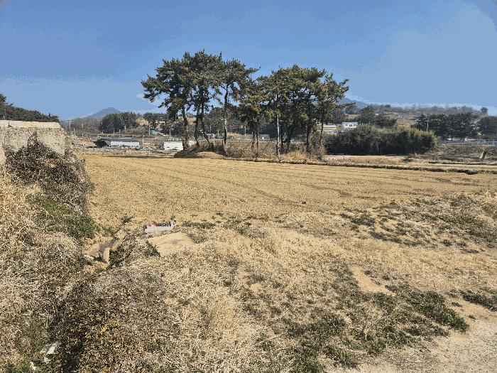 경상남도 남해군 고현면 도마리 1667 주택 경매 사진 8