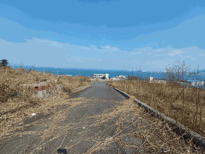 경상남도 사천시 송포동 산185-26 임야 경매 사진 3