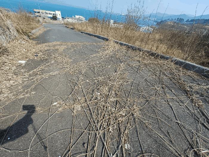 경상남도 사천시 송포동 산185-26 임야 경매 사진 4