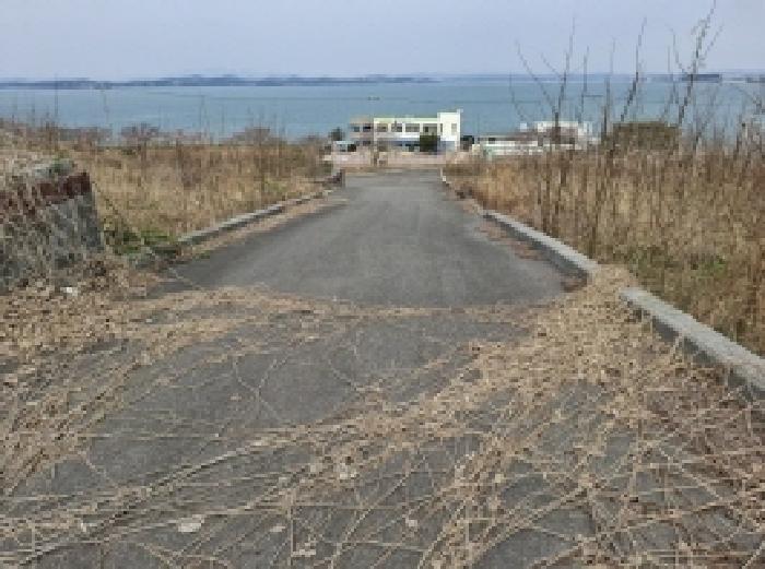 경상남도 사천시 송포동 산185-26 임야 경매 사진 5