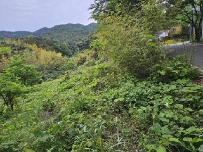 경상남도 산청군 단성면 방목리 924 임야 경매 사진 11