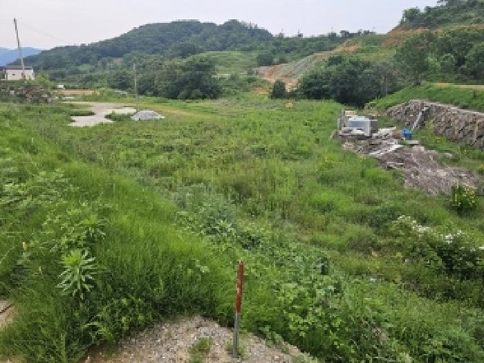 경상남도 산청군 단성면 방목리 924 임야 경매 사진 12