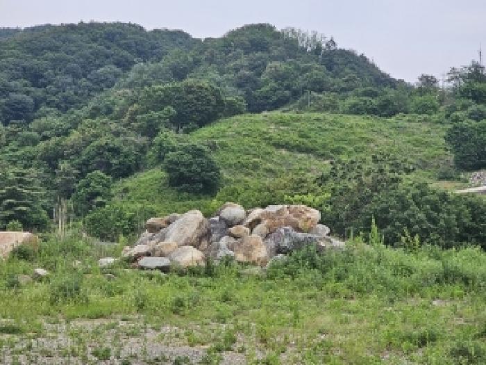 경상남도 산청군 단성면 방목리 112 목장용지 경매 사진 13