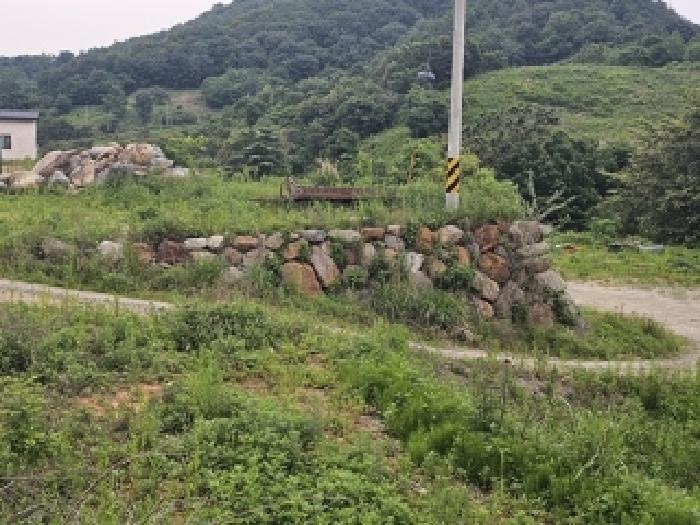 경상남도 산청군 단성면 방목리 112 목장용지 경매 사진 14