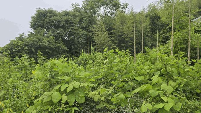 경상남도 사천시 임야