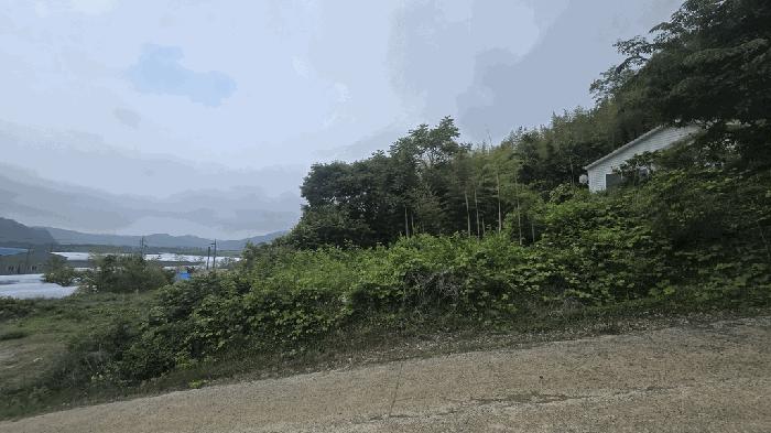 경상남도 사천시 곤명면 본촌리 88 임야 경매 사진 8