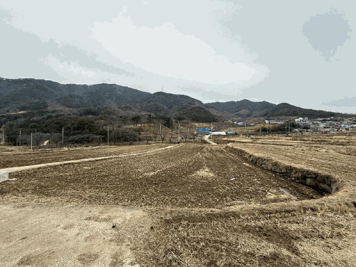 경상남도 산청군 산청읍 척지리 318 답 경매 사진 1