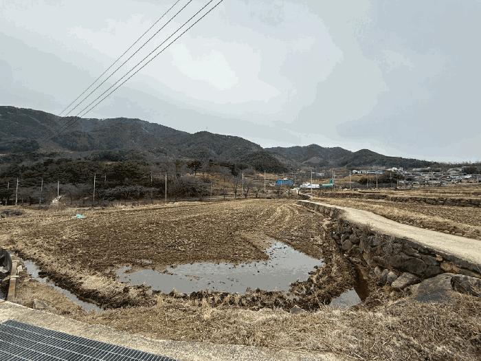 경상남도 산청군 산청읍 척지리 318 답 경매 사진 3
