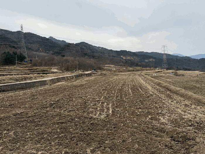 경상남도 산청군 산청읍 척지리 318 답 경매 사진 4