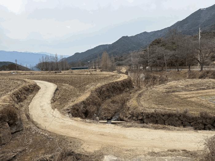 경상남도 산청군 산청읍 척지리 318 답 경매 사진 6