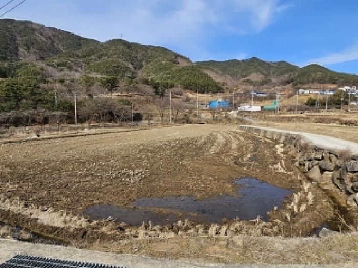 경상남도 산청군 산청읍 척지리 318 답 경매 사진 7