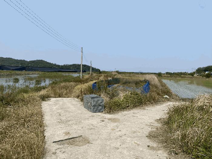 전라남도 신안군 압해읍 신용리 791 답 경매 사진 1