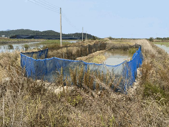 전라남도 신안군 압해읍 신용리 791 답 경매 사진 3