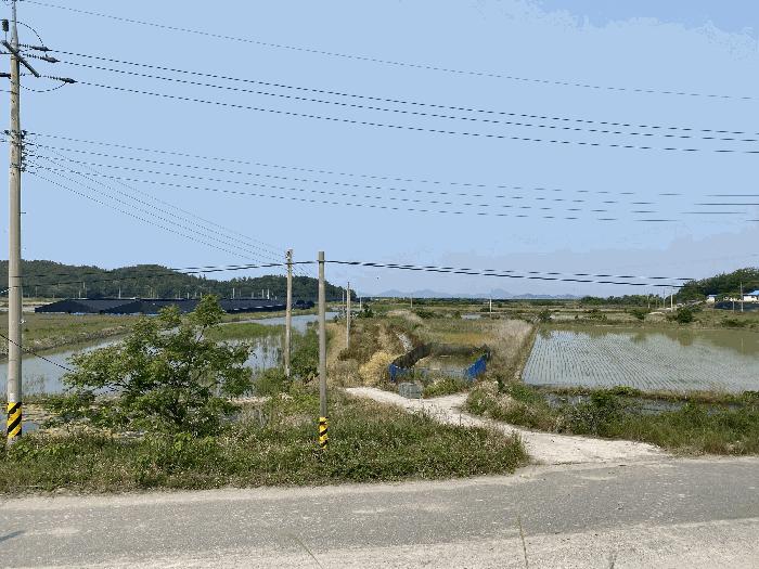 전라남도 신안군 압해읍 신용리 791 답 경매 사진 4
