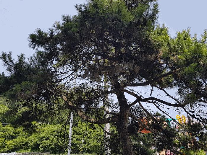 전라남도 무안군 삼향읍 남악리 163-3 노유자시설 경매 사진 12