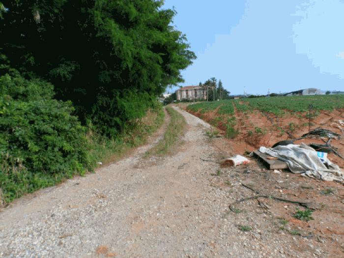 전라남도 무안군 망운면 목동리 248-46 전 경매 사진 1