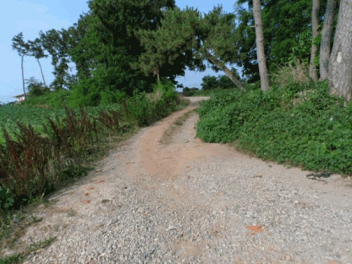 전라남도 무안군 망운면 목동리 248-46 전 경매 사진 4