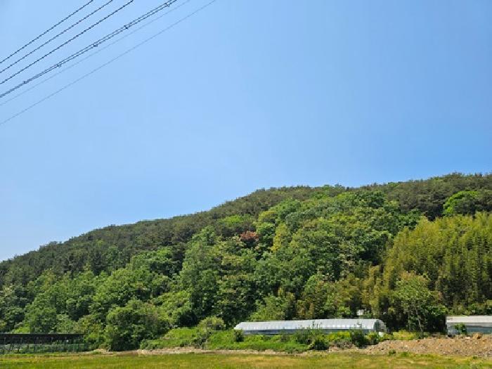 경상남도 진주시 집현면 냉정리 산109 임야 경매 사진 10