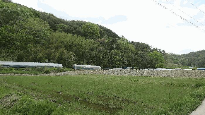 경상남도 진주시 집현면 냉정리 산109 임야 경매 사진 2