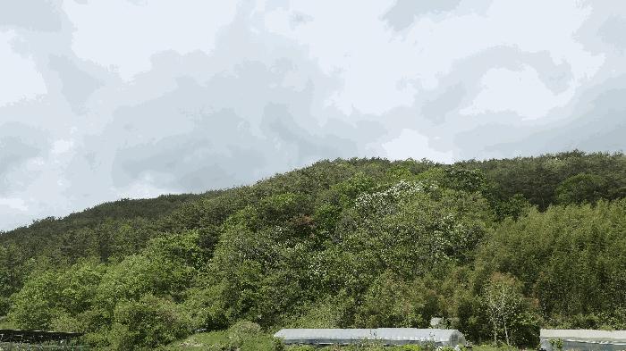 경상남도 진주시 집현면 냉정리 산109 임야 경매 사진 3