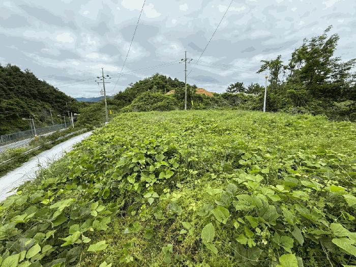 경상남도 남해군 설천면 덕신리 1487 답 경매 사진 4