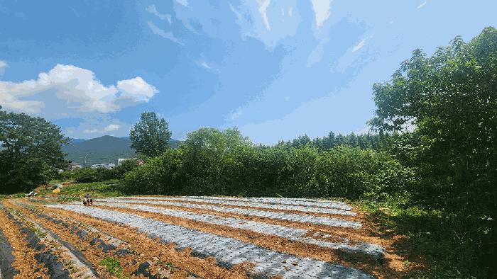 경상남도 사천시 전