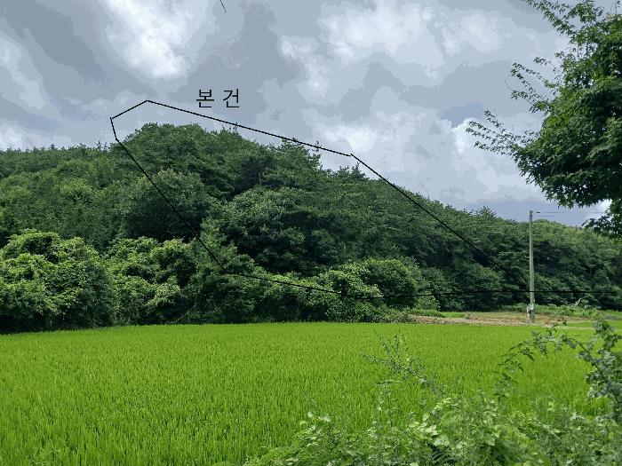 전라남도 함평군 신광면 삼덕리 산72 임야 경매 사진 2