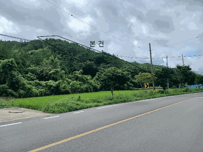전라남도 함평군 신광면 삼덕리 산72 임야 경매 사진 3