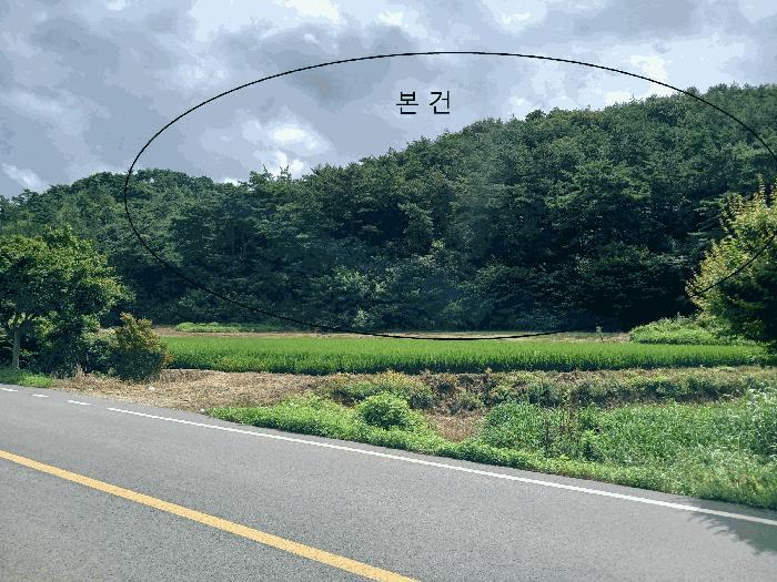 전라남도 함평군 신광면 삼덕리 산72 임야 경매 사진 4
