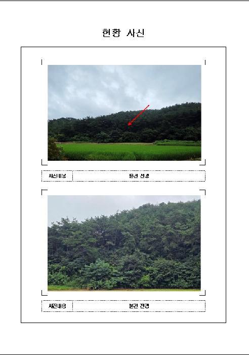 전라남도 함평군 신광면 삼덕리 산72 임야 경매 사진 5