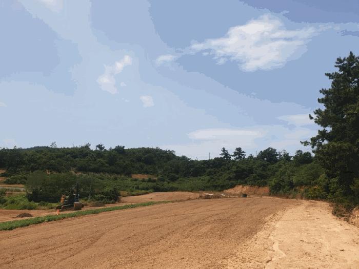 전라남도 신안군 임야