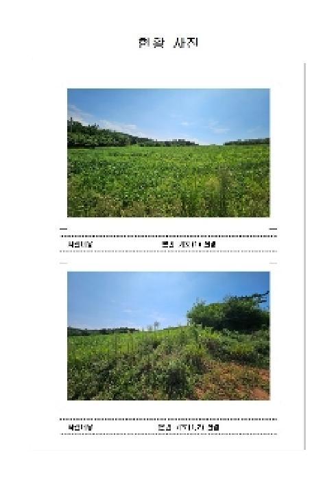 전라남도 신안군 압해읍 신용리 511-1 임야 경매 사진 6