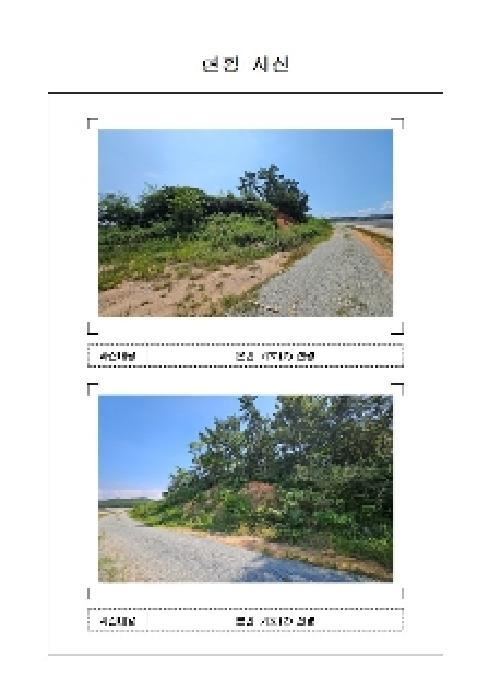 전라남도 신안군 압해읍 신용리 511-1 임야 경매 사진 7