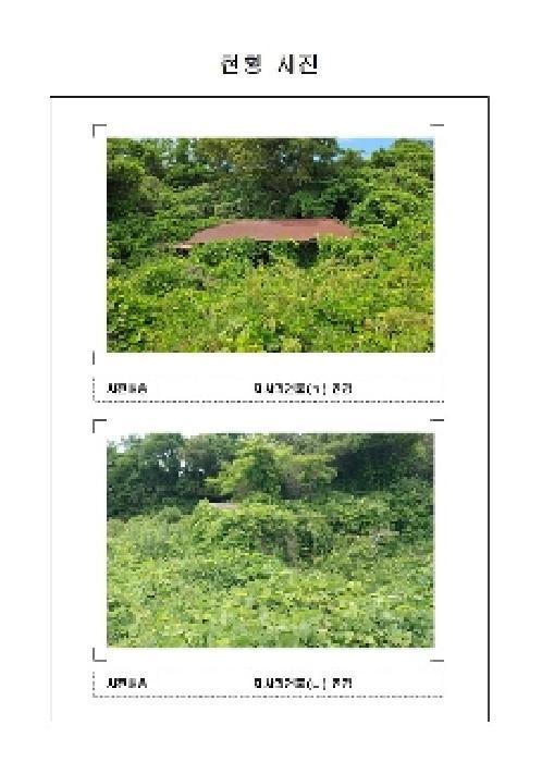 전라남도 신안군 임자면 삼두리 883 전 경매 사진 2
