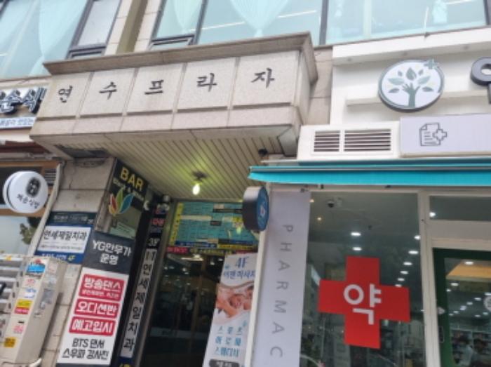인천광역시 연수구 먼우금로 190, 6층613호 (연수동,연수프라자)구) 인천광역시 연수구 연수동 597-4 다세대(빌라) 경매 사진 8