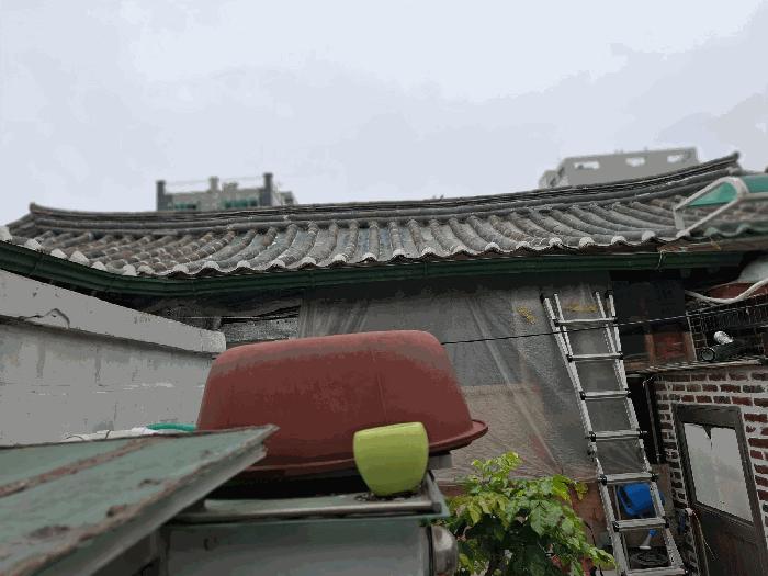 서울특별시 동대문구 제기동 768-4 주택 경매 사진 8