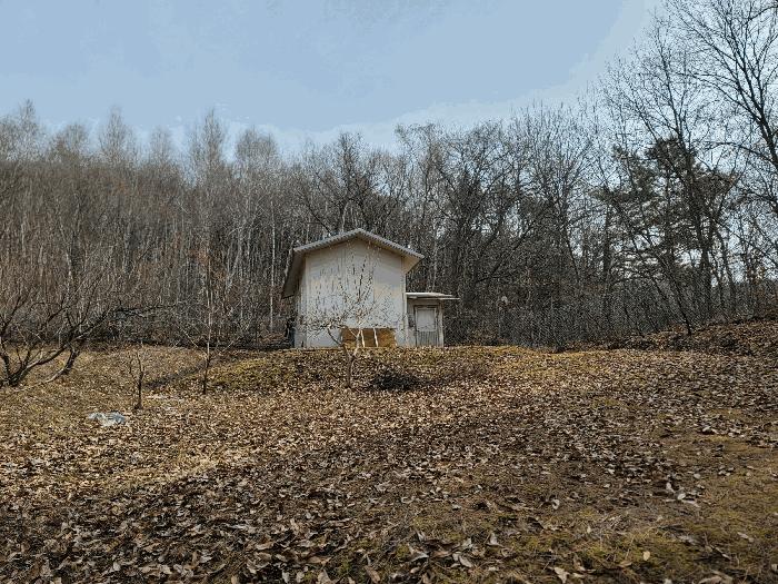 경기도 남양주시 진접읍 금곡리 333 주택 경매 사진 13