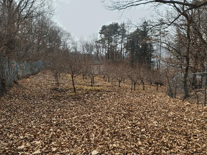 경기도 남양주시 진접읍 금곡리 333 주택 경매 사진 16