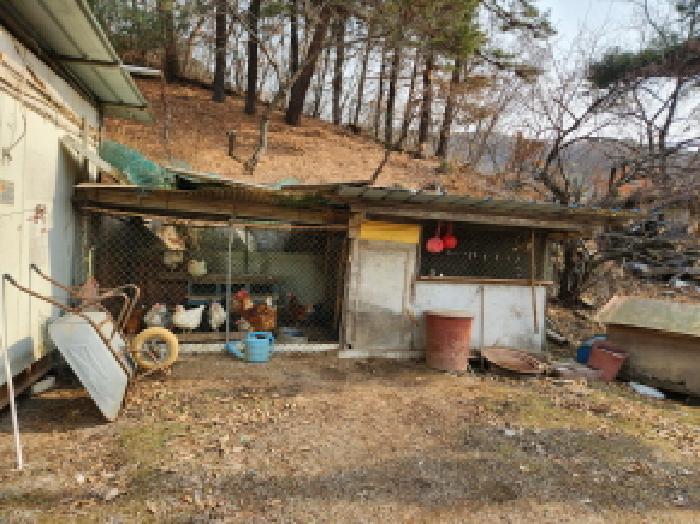 경기도 남양주시 진접읍 금곡리 333 주택 경매 사진 30