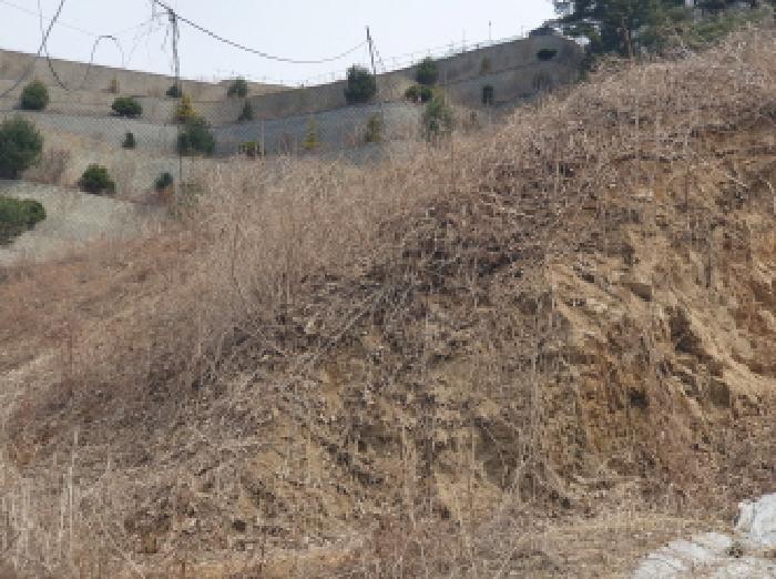경기도 가평군 설악면 회곡리 산12-47 임야 경매 사진 10
