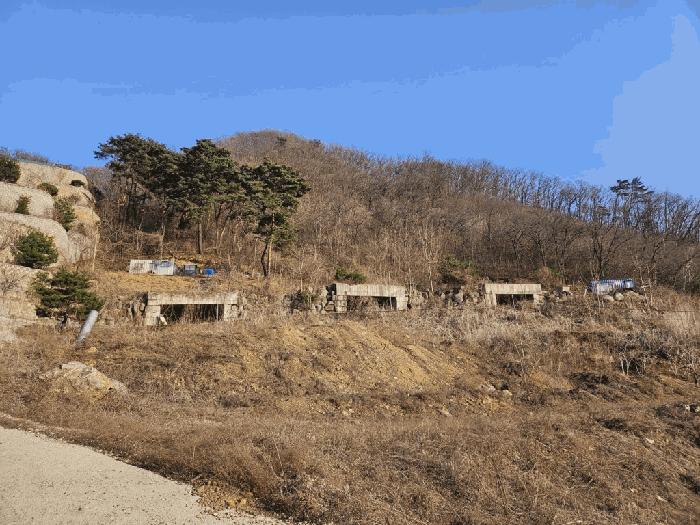 경기도 가평군 설악면 회곡리 산12-47 임야 경매 사진 6