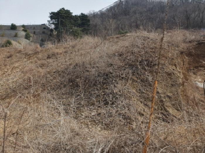 경기도 가평군 설악면 회곡리 산12-47 임야 경매 사진 9