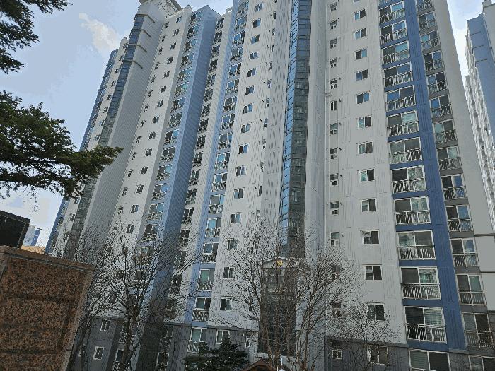 경기도 남양주시 호평동 676 호평마을동원로얄듀크 1704동 10층1002호 아파트 경매 사진 2