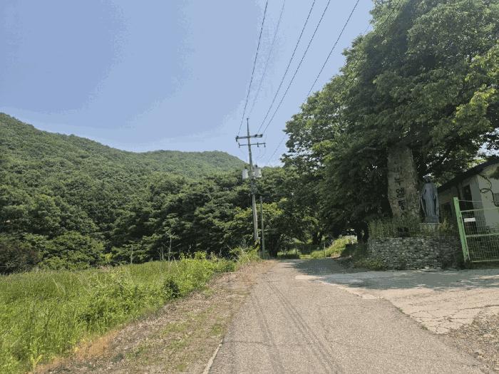 경기도 파주시 적성면 장현리 산59 임야 경매 사진 10